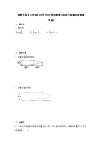 西师大版【小升初】2022-2023学年数学六年级下册期末检测卷（B卷）含解析