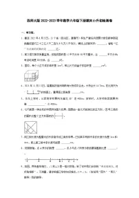 西师大版2022-2023学年数学六年级下册期末小升初检测卷（含解析）