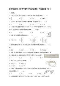 西师大版2022-2023学年数学六年级下册期末小升初检测卷（卷一）含解析