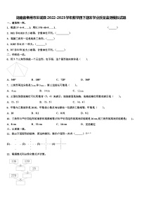 湖南省郴州市汝城县2022-2023学年数学四下期末学业质量监测模拟试题含解析