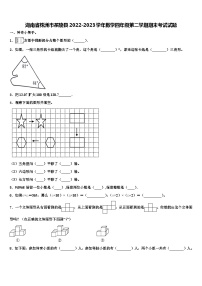 湖南省株洲市茶陵县2022-2023学年数学四年级第二学期期末考试试题含解析