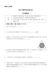 2023年广东省深圳市桃李综合能力杯竞赛六年级数学试题及答案