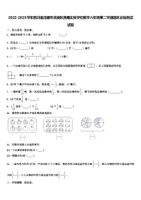 2022-2023学年四川省成都市武侯区西蜀实验学校数学六年级第二学期期末达标测试试题含解析