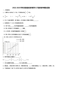 2022-2023学年安徽省芜湖市数学六下期末联考模拟试题含解析