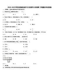 2022-2023学年安徽省芜湖市弋江区数学六年级第二学期期末考试试题含解析