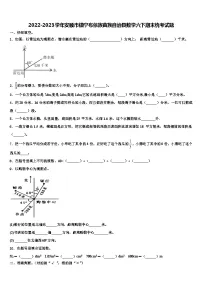 2022-2023学年安顺市镇宁布依族苗族自治县数学六下期末统考试题含解析