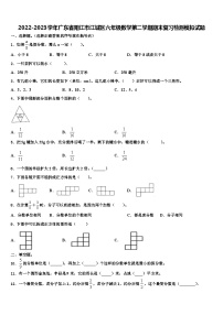 2022-2023学年广东省阳江市江城区六年级数学第二学期期末复习检测模拟试题含解析