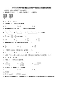 2022-2023学年甘肃省白银市会宁县数学六下期末统考试题含解析