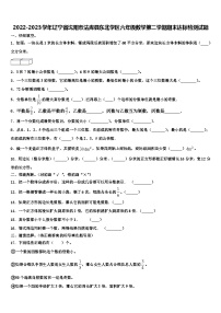 2022-2023学年辽宁省沈阳市法库县东北学区六年级数学第二学期期末达标检测试题含解析