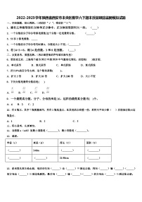 2022-2023学年陕西省西安市未央区数学六下期末质量跟踪监视模拟试题含解析