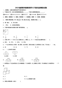 2023届咸阳市杨陵区数学六下期末监测模拟试题含解析