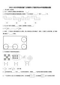 2022-2023学年四川省广元市数学六下期末学业水平测试模拟试题含解析