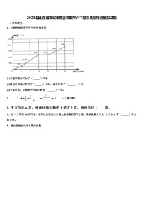 2023届山东省聊城市阳谷县数学六下期末质量检测模拟试题含解析