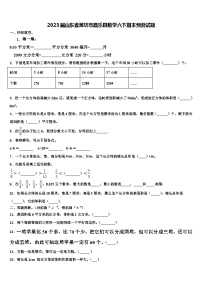 2023届山东省潍坊市昌乐县数学六下期末预测试题含解析