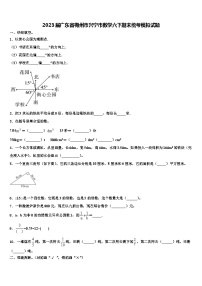 2023届广东省梅州市兴宁市数学六下期末统考模拟试题含解析