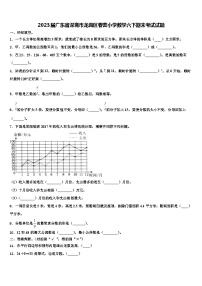 2023届广东省深圳市龙岗区春蕾小学数学六下期末考试试题含解析