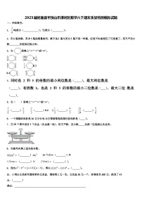 2023届河南省平顶山市湛河区数学六下期末质量检测模拟试题含解析