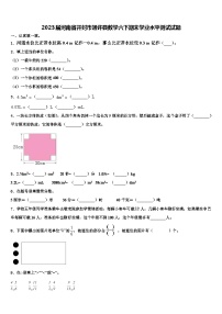 2023届河南省开封市通许县数学六下期末学业水平测试试题含解析