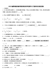 2023届贵州省安顺市普定县实验学校数学六下期末综合测试试题含解析