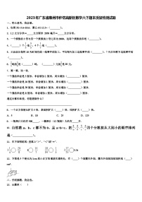 2023年广东省惠州市仲恺高新区数学六下期末质量检测试题含解析