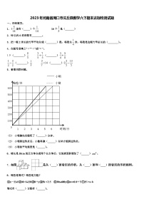 2023年河南省周口市沈丘县数学六下期末达标检测试题含解析