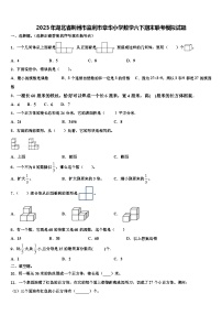 2023年湖北省荆州市监利市章华小学数学六下期末联考模拟试题含解析