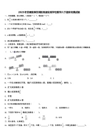 2023年甘肃张掖甘州区思源实验学校数学六下期末经典试题含解析