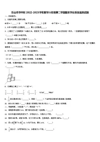 乐山市市中区2022-2023学年数学六年级第二学期期末学业质量监测试题含解析