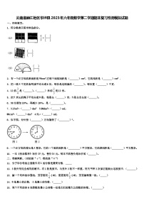 云南省丽江地区华坪县2023年六年级数学第二学期期末复习检测模拟试题含解析