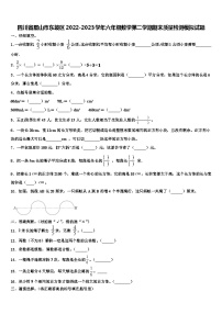 四川省眉山市东坡区2022-2023学年六年级数学第二学期期末质量检测模拟试题含解析