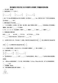 四川省内江市东兴区2023年数学六年级第二学期期末统考试题含解析
