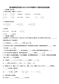 四川省攀枝花市东区2022-2023学年数学六下期末综合测试试题含解析