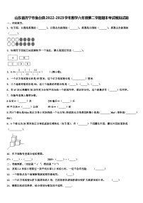 山东省济宁市鱼台县2022-2023学年数学六年级第二学期期末考试模拟试题含解析