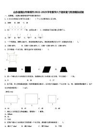 山东省烟台市莱州市2022-2023学年数学六下期末复习检测模拟试题含解析