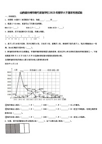 山西省忻州市现代双语学校2023年数学六下期末检测试题含解析