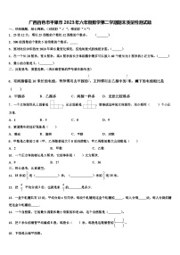 广西百色市平果市2023年六年级数学第二学期期末质量检测试题含解析