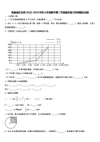 海南省乐东县2022-2023学年六年级数学第二学期期末复习检测模拟试题含解析