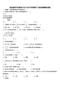 湖北省咸宁市咸安区2022-2023学年数学六下期末调研模拟试题含解析