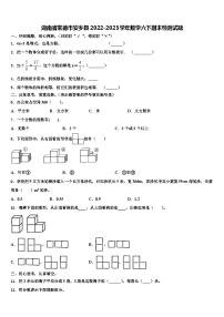 湖南省常德市安乡县2022-2023学年数学六下期末检测试题含解析