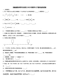 湖南省张家界市永定区2023年数学六下期末监测试题含解析