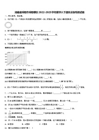 湖南省岳阳市岳阳楼区2022-2023学年数学六下期末达标检测试题含解析