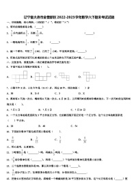 辽宁省大连市金普新区2022-2023学年数学六下期末考试试题含解析