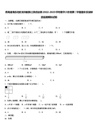 青海省海东地区民和回族土族自治县2022-2023学年数学六年级第二学期期末质量跟踪监视模拟试题含解析