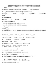 青海省西宁市城北区2022-2023学年数学六下期末达标测试试题含解析