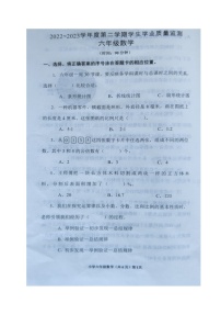 山东省青岛市胶州市2022-2023学年六年级下学期期末考试数学试题