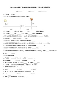 2022-2023学年广东省汕尾市陆河县数学三下期末复习检测试题含解析