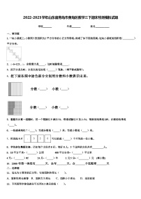 2022-2023学年山东省青岛市黄岛区数学三下期末检测模拟试题含解析