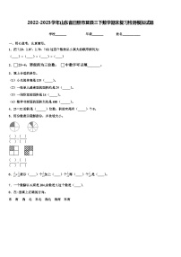 2022-2023学年山东省日照市莒县三下数学期末复习检测模拟试题含解析