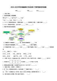 2022-2023学年河南省周口市沈丘县三下数学期末统考试题含解析