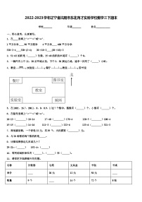 2022-2023学年辽宁省沈阳市东北育才实验学校数学三下期末含解析